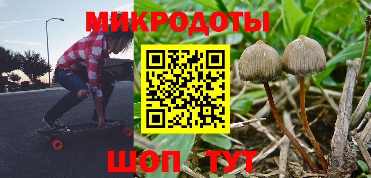 Псилоцибиновые грибы GOLDEN TEACHER  Псилоцибиновые грибы ЛСД  Наро-Фоминск  купить наркоту  Вход с VPN 