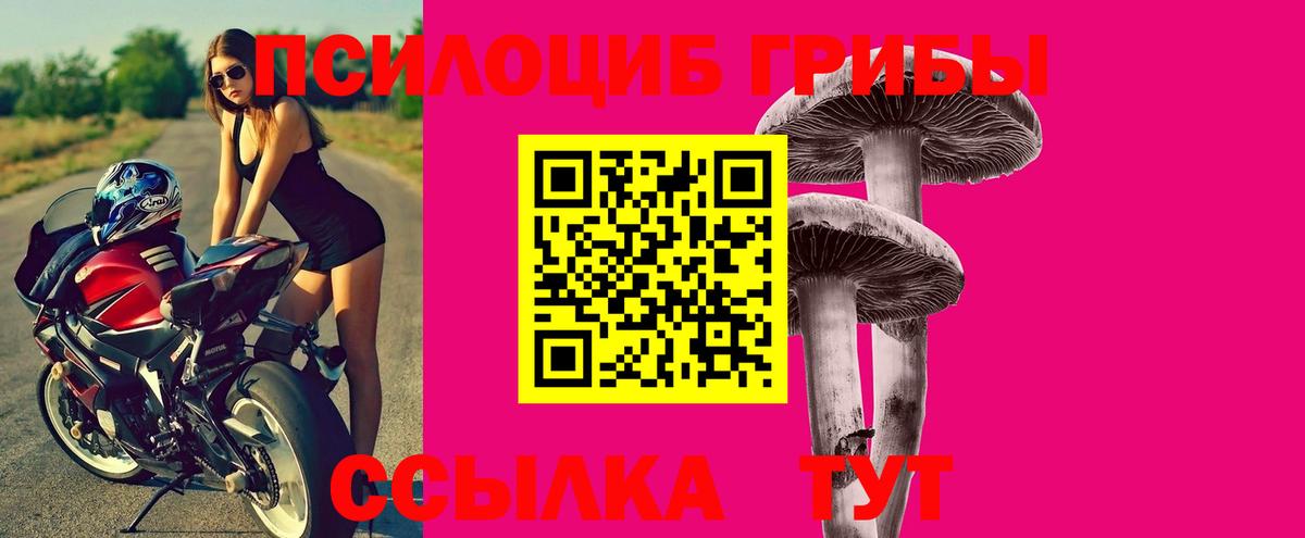 Псилоцибиновые грибы Psilocybine cubensis Наро-Фоминск